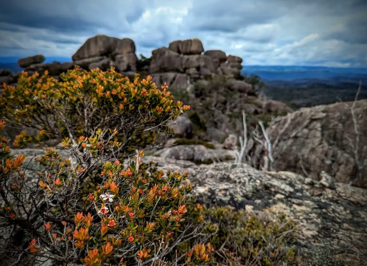 Armidale, Australia