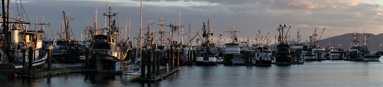 Bellingham, United States