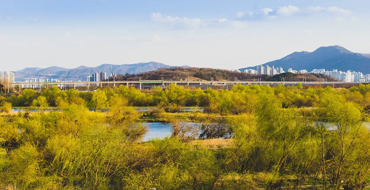 Daegu, South Korea