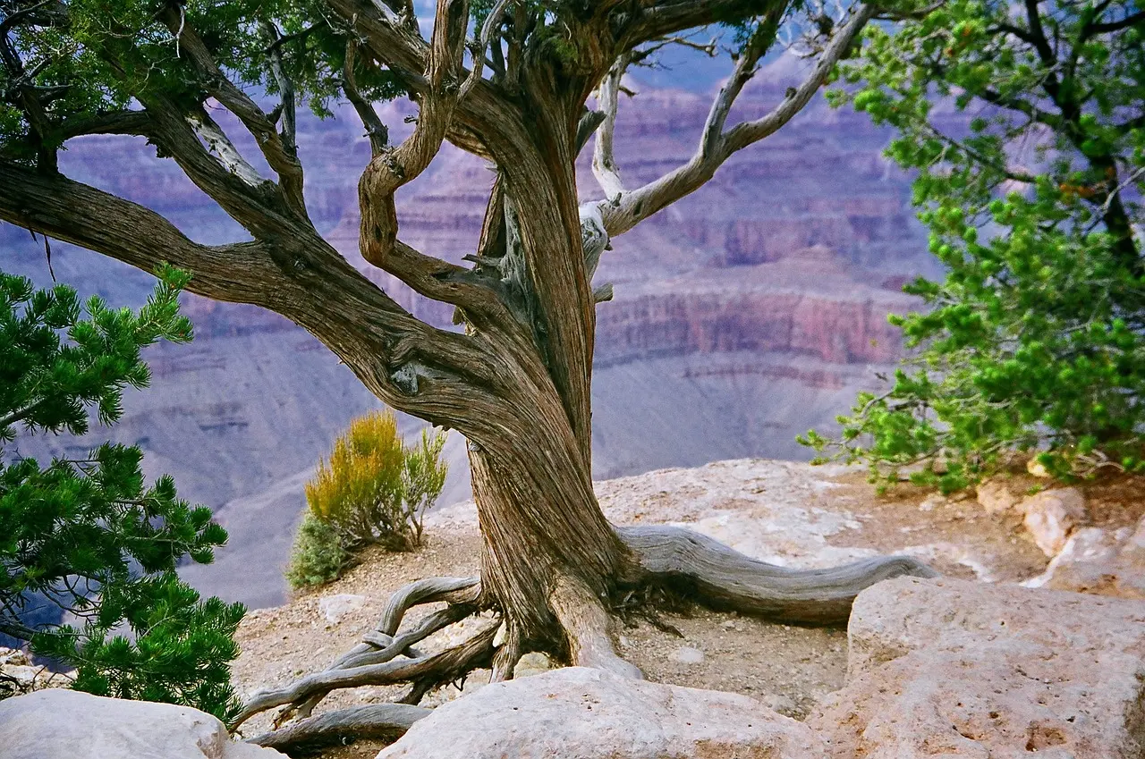 Grand Junction, United States