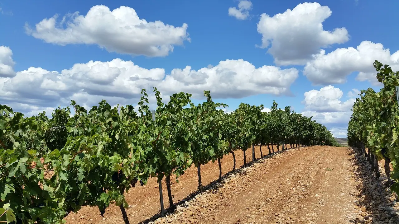 La Rioja, Argentina