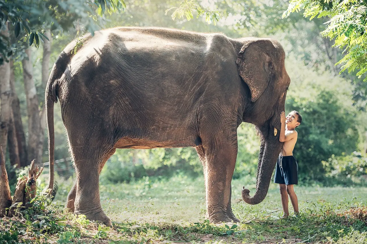 Nakhon Si Thammarat, Thailand