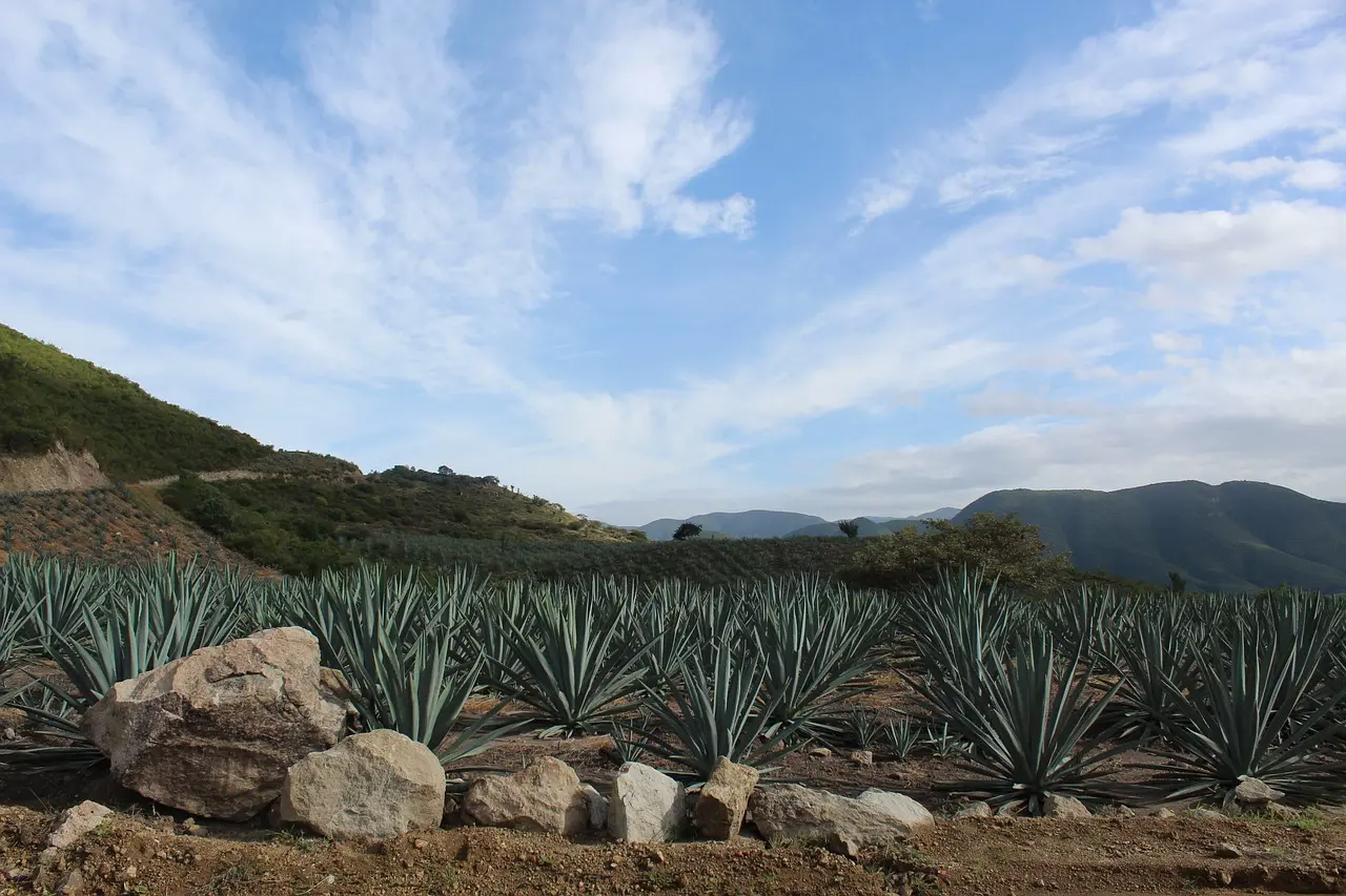 Oaxaca, Mexico