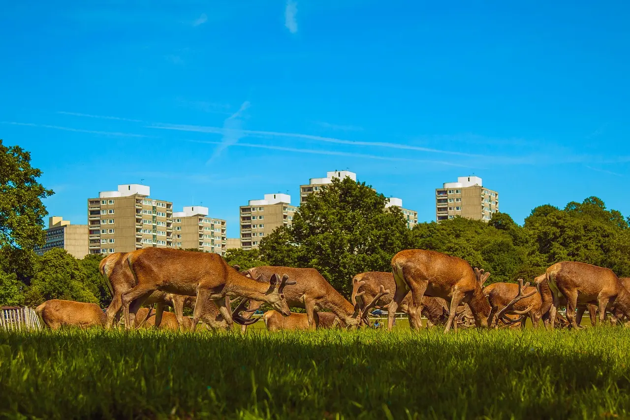 Richmond, United States