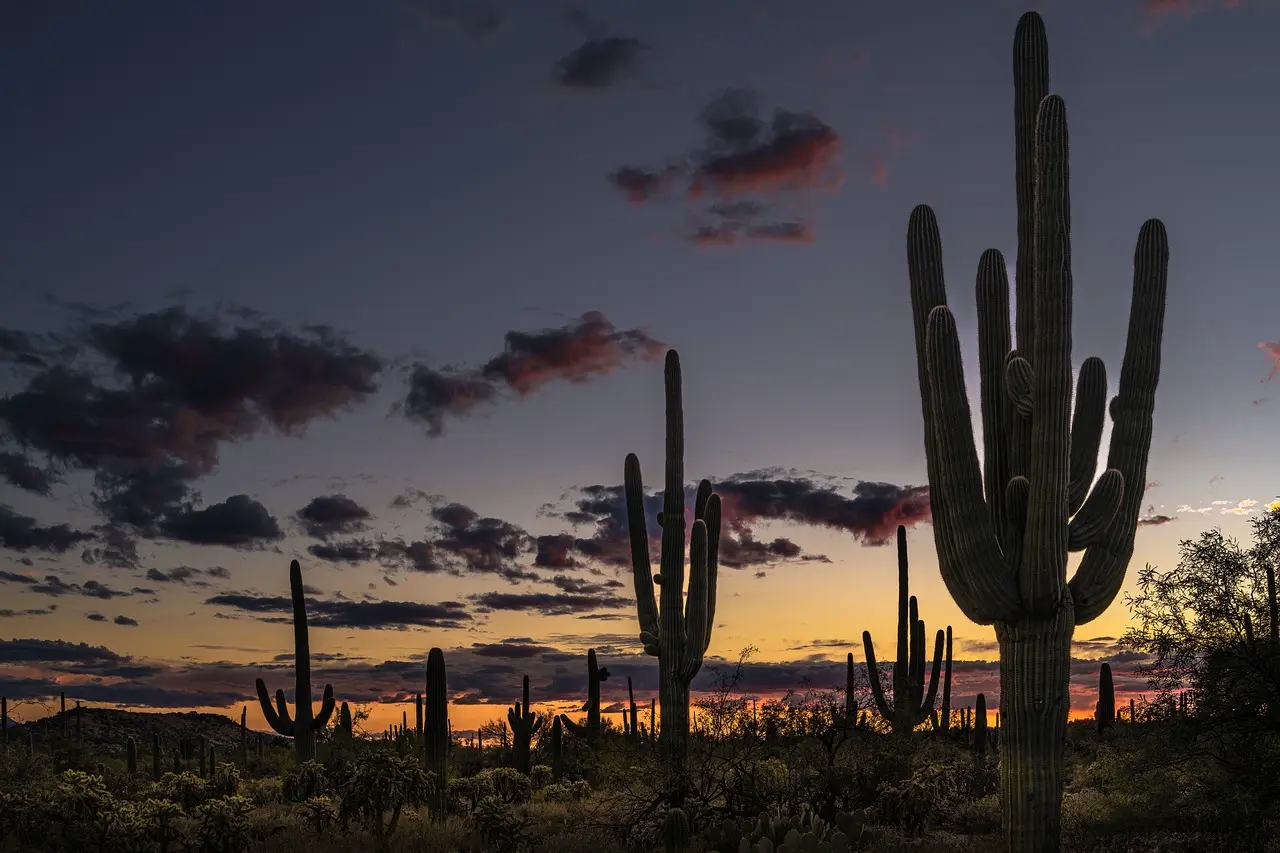 Tucson, United States